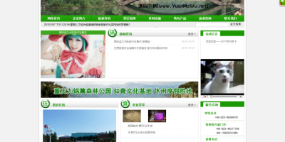 高端绿色DEDE模板旅游旅行社网站源码
