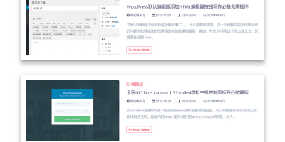 佛系响应式 Lolimeow 猫可喵 WordPress 个人博客主题模板